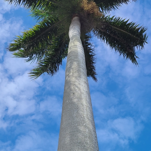 Meet your Posher, CV - Picture 3 of 3